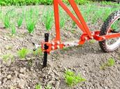 HOUE MARA�CHERE TERRATECK